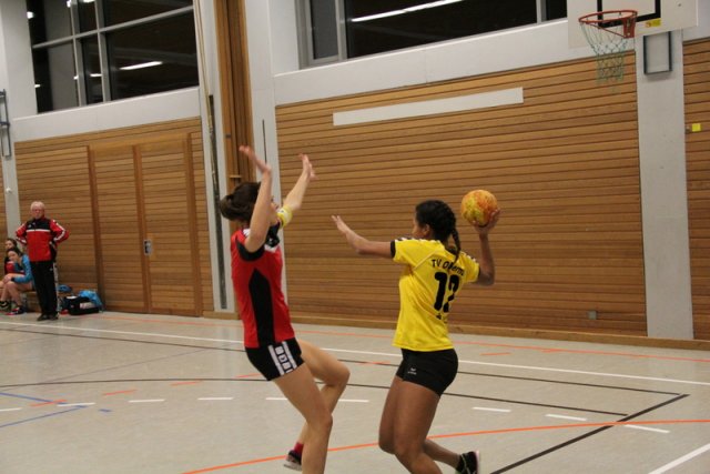 2016_01_23 Landesliga Frauen